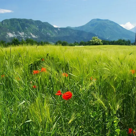 Detached Holiday In West Of Slovenia Near Lake Bled