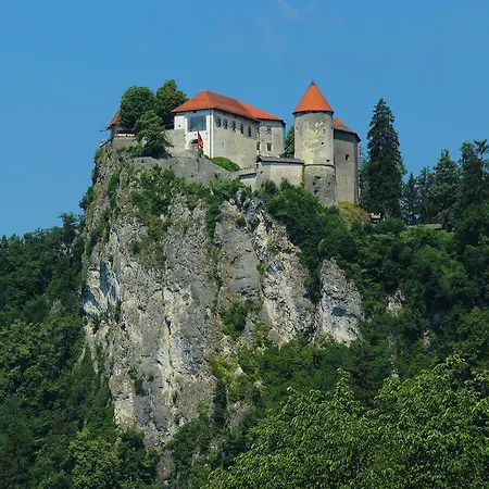בית נופש Detached Holiday In West Of Slovenia Near Lake *