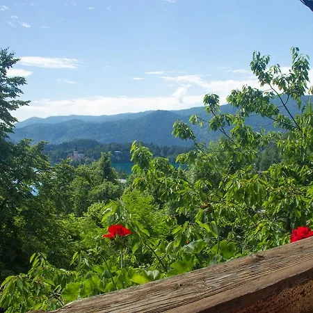 Detached Holiday In West Of Slovenia Near Lake בלד